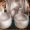ww_s-image_mindfulness-22